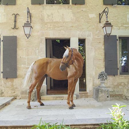 Domaine Cap Rubis Bed & Breakfast Paradou Exterior photo